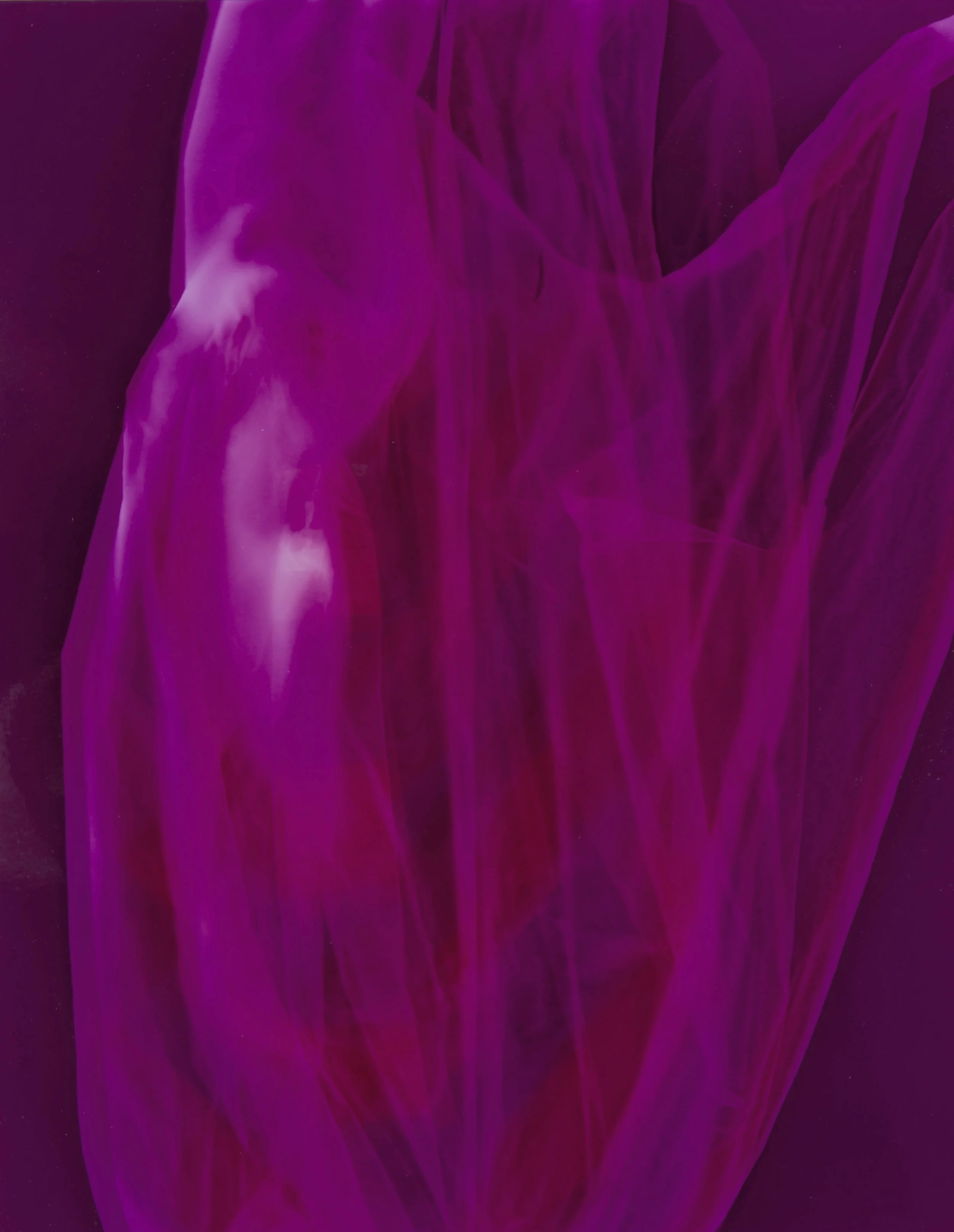 Conversations with a plasticbag 4