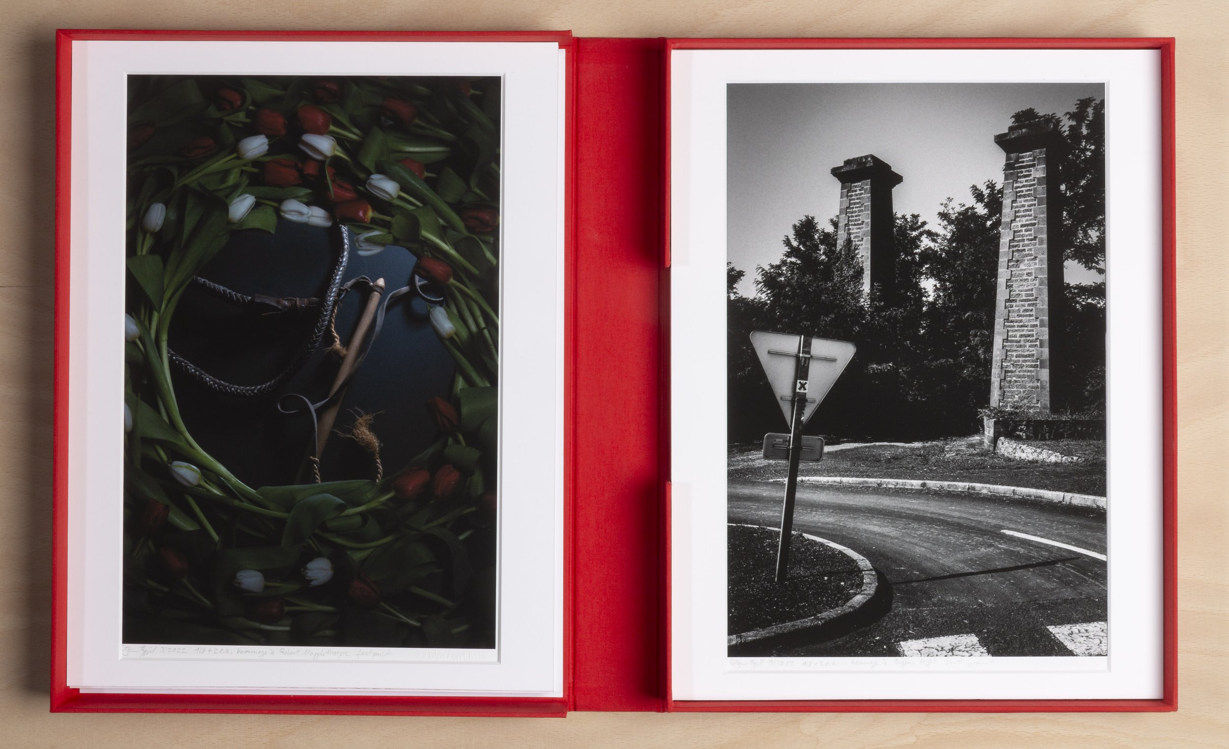 left : hommage à Robert Mapplethorpe, right : hommage à Eugène Atget