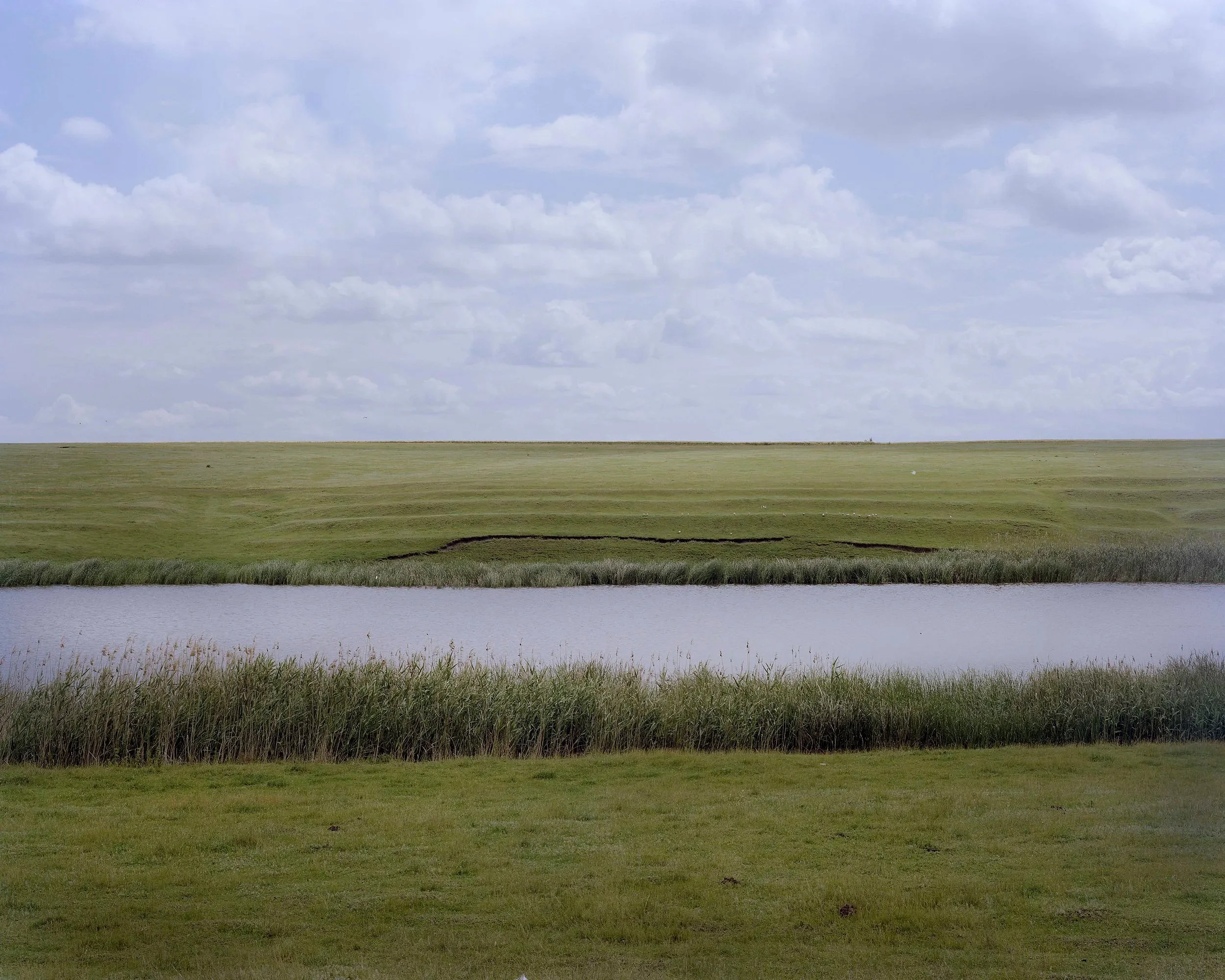 Dobrogea, close to Călărași, Romania