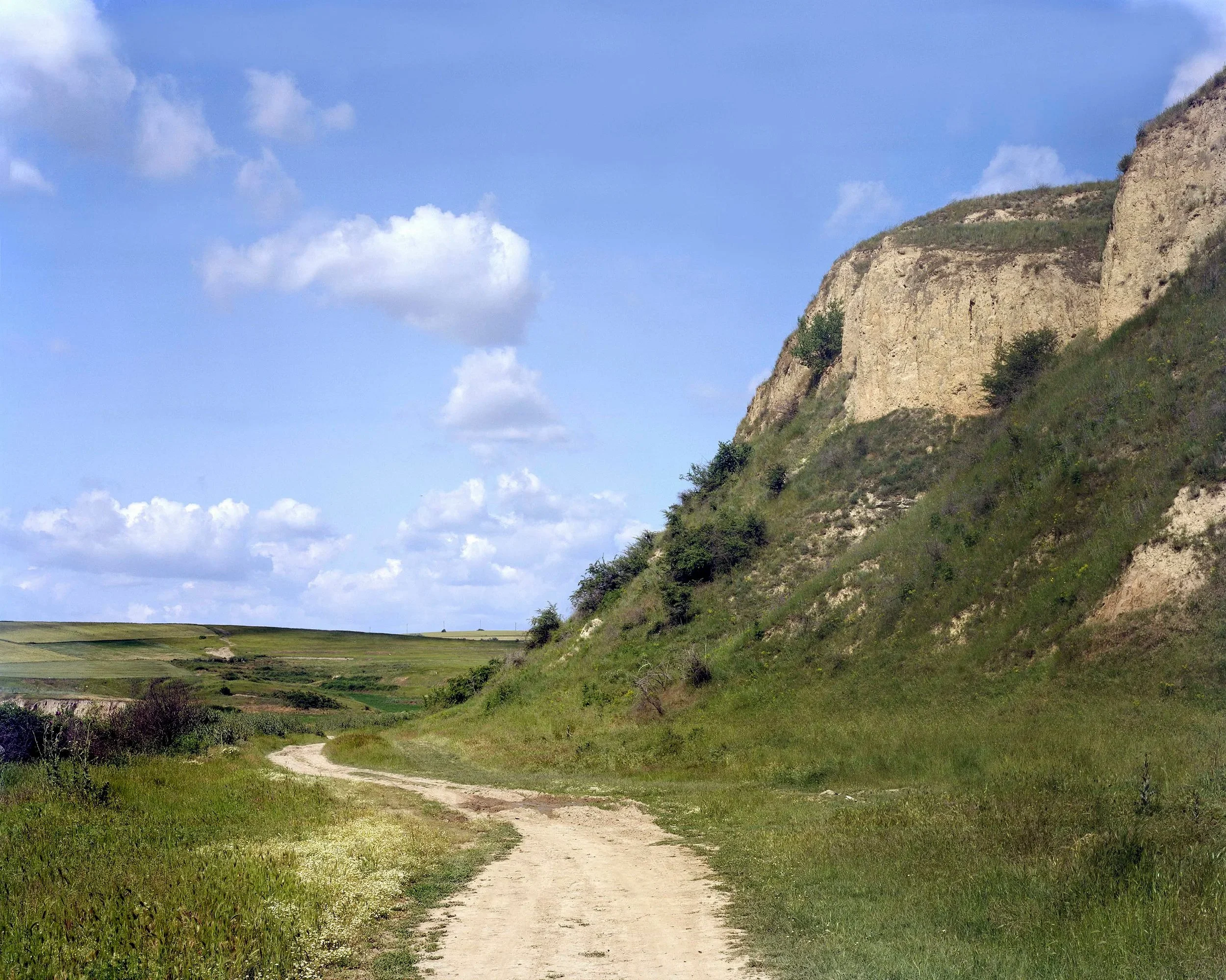 Dobrogea, close to Topalu, Romania