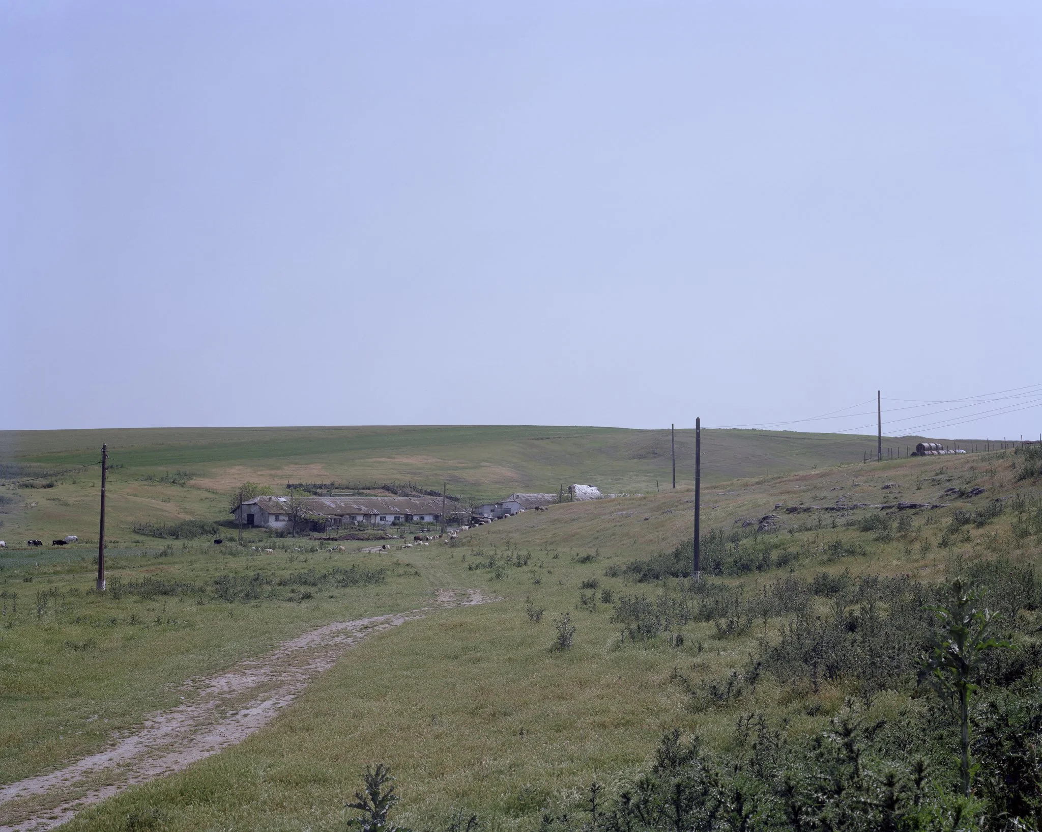 Dobrogea, close to Petreni, Romania