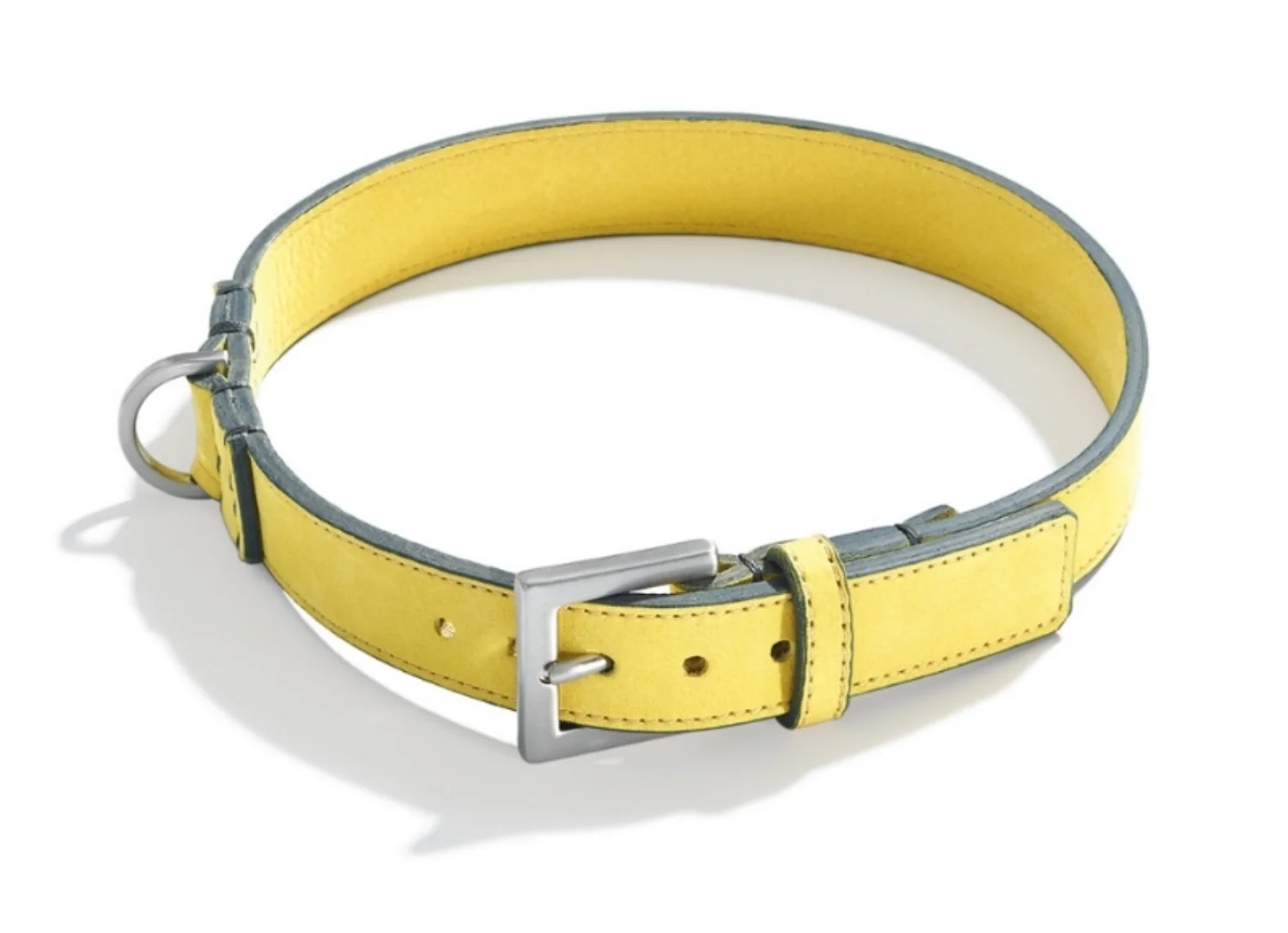 hund dog collars