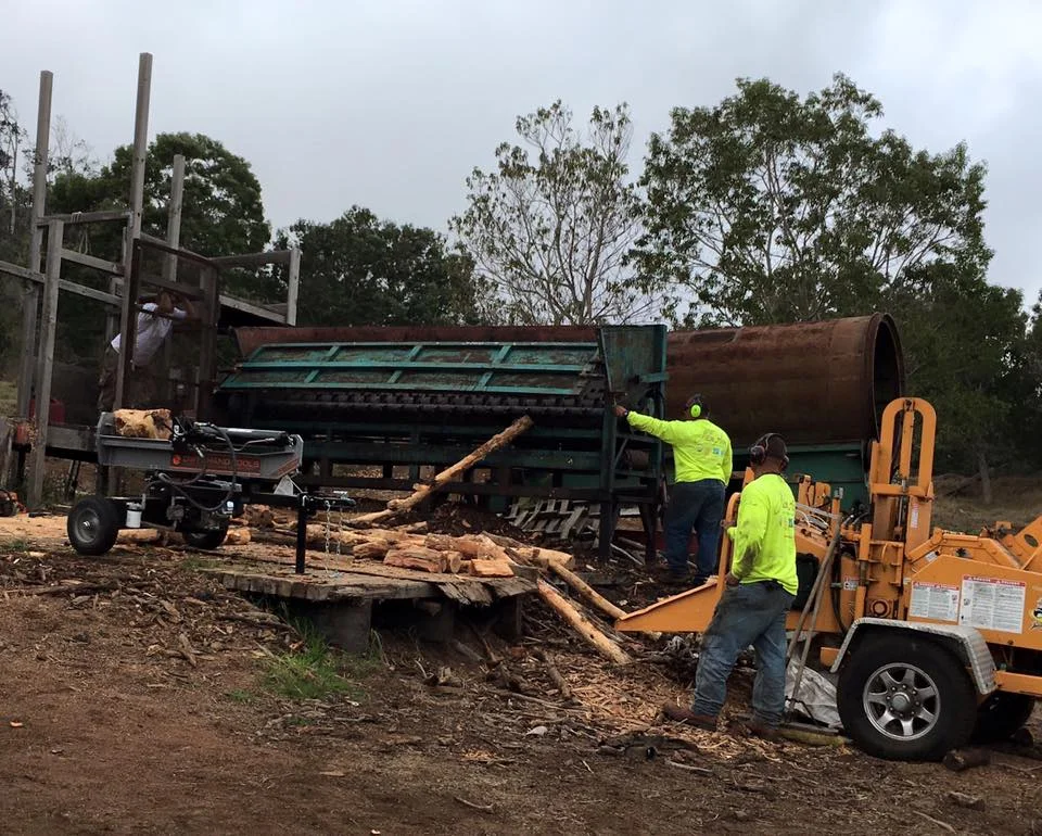 And here comes the bark-free logs now ready for chipping.