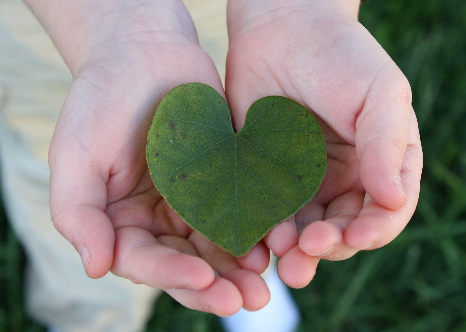 Passion for Montessori