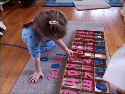 Literacy and Reading in the Montessori Classroom 