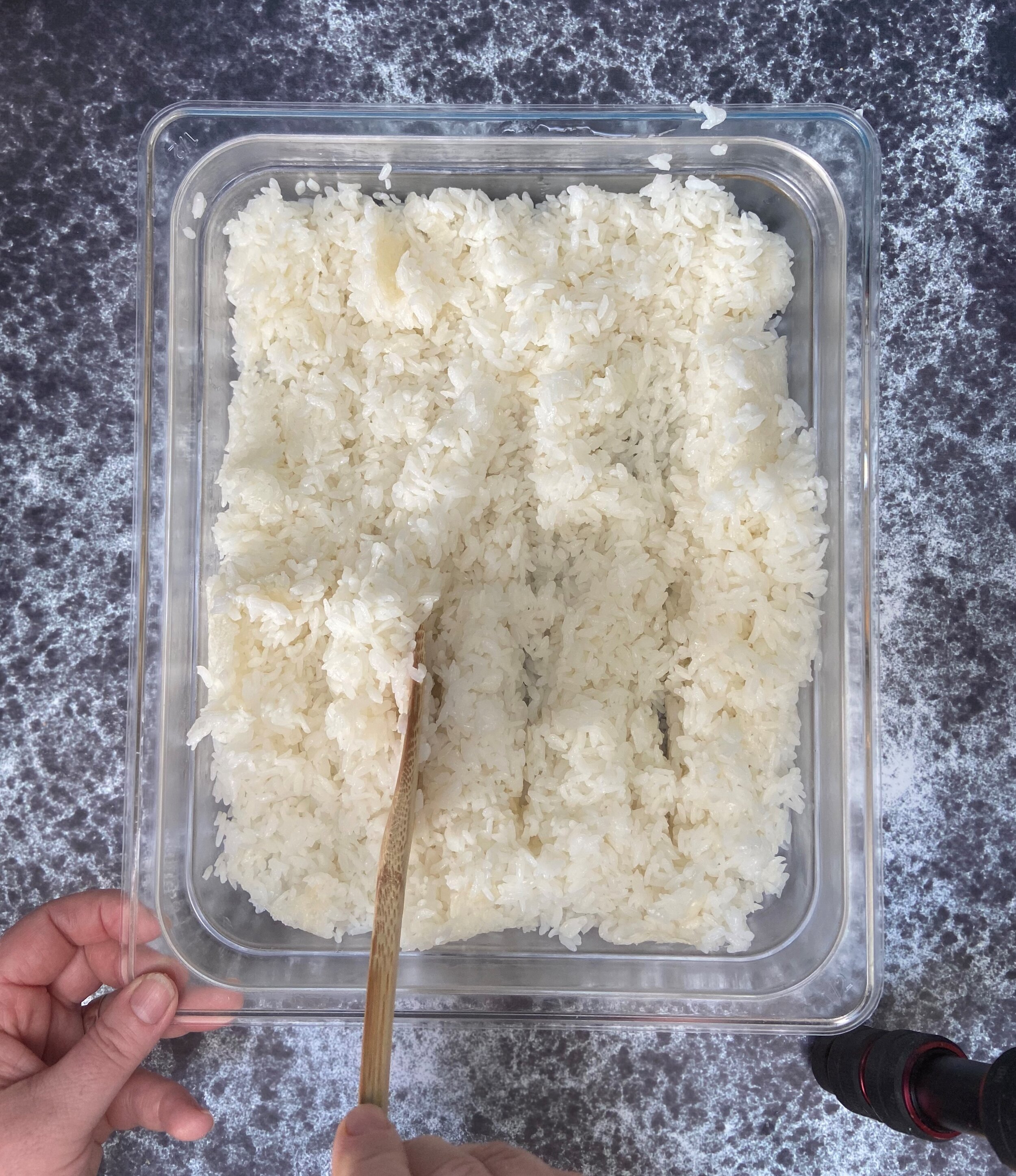 17 rice .jpg
