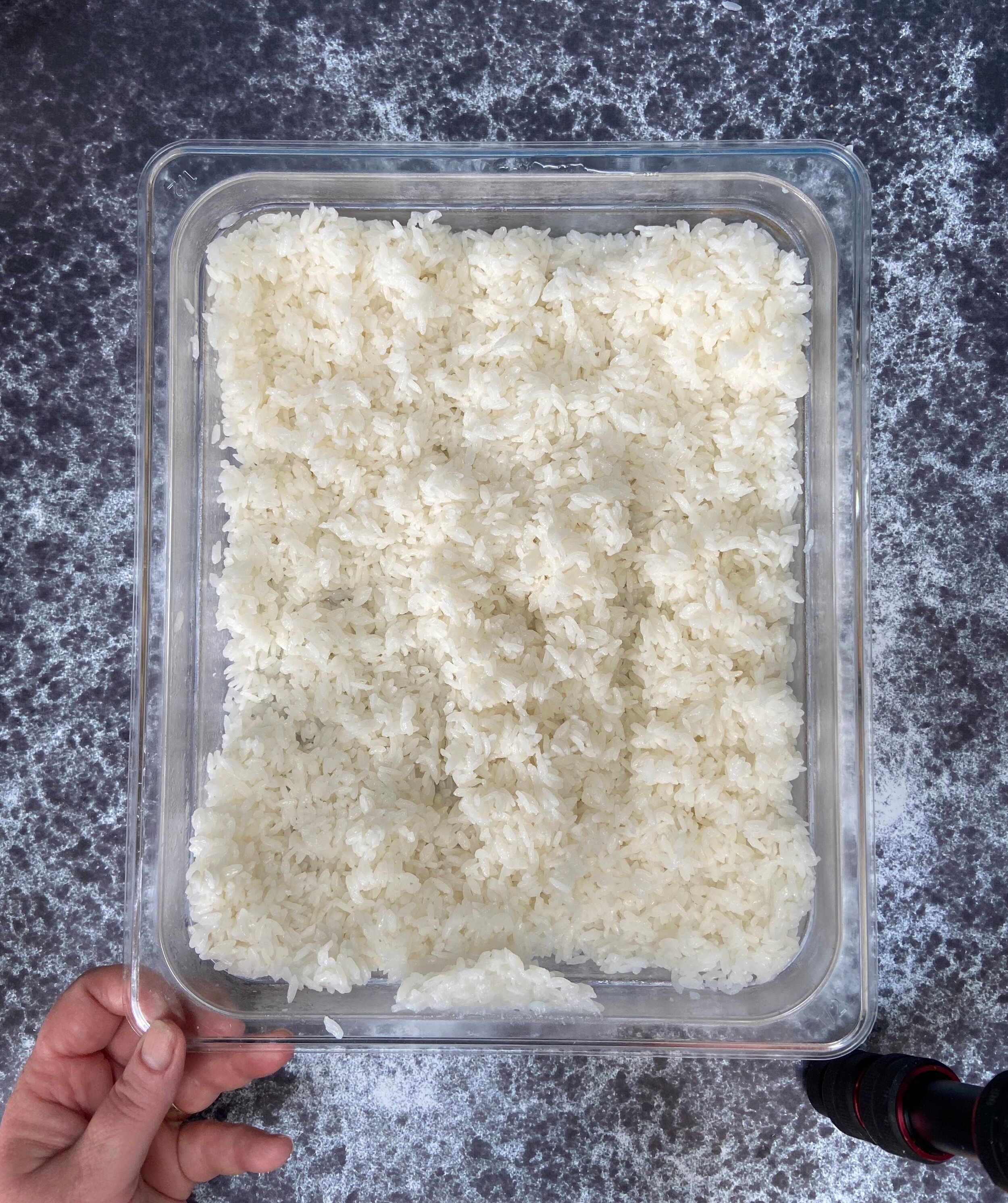 18 rice .jpg