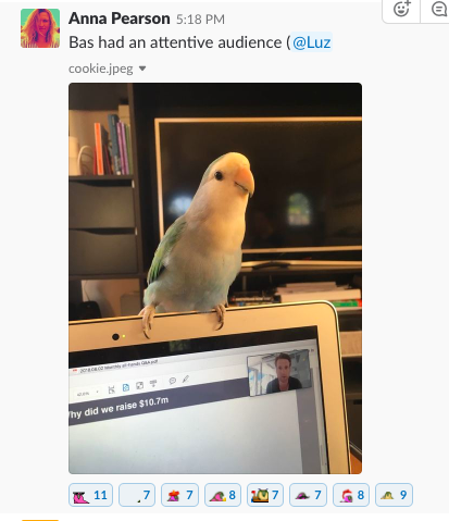 Screen Shot 2018-08-07 at 13.33.03.png