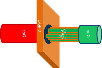 L-GRID in the Server NIC