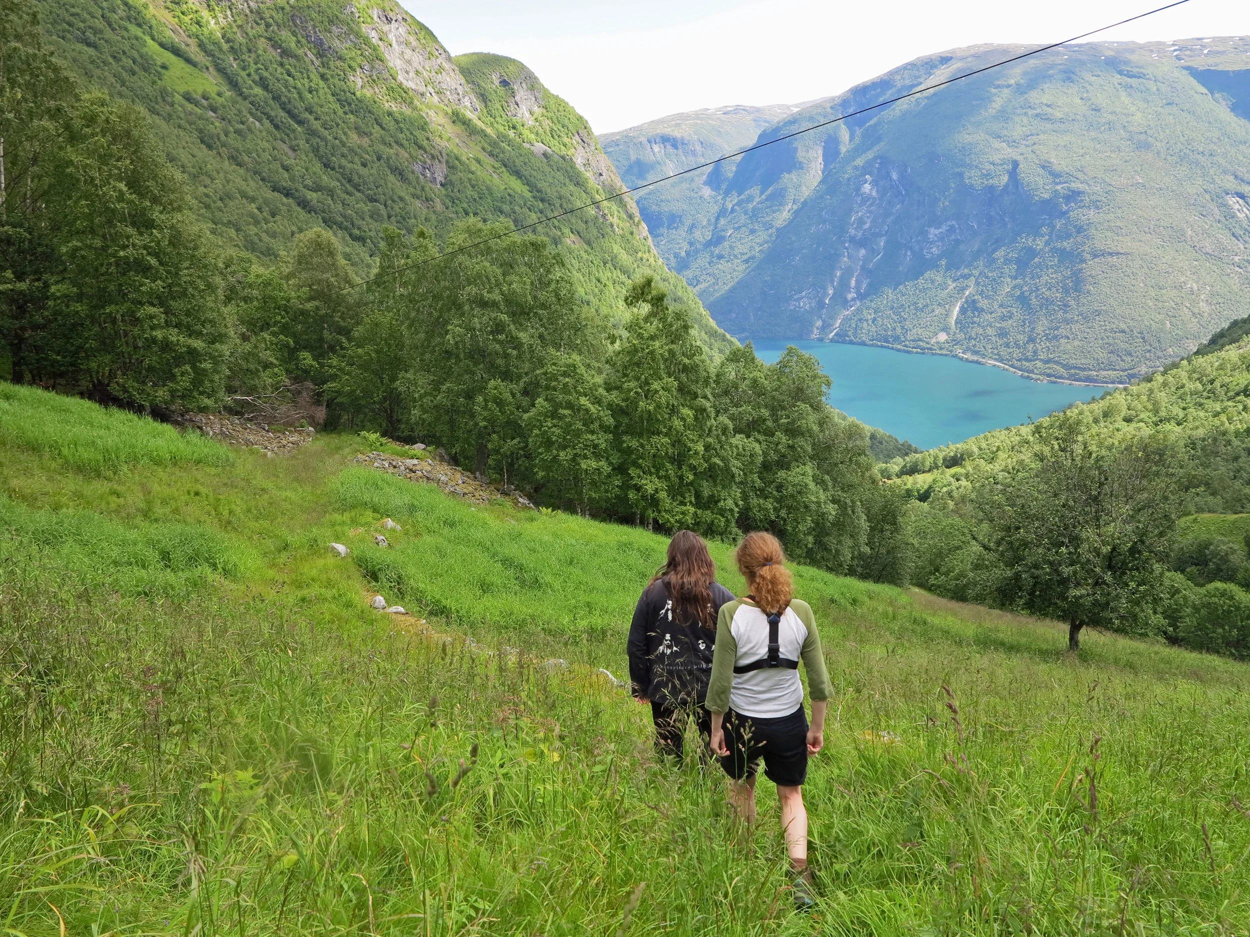 From Fjord to Mountain