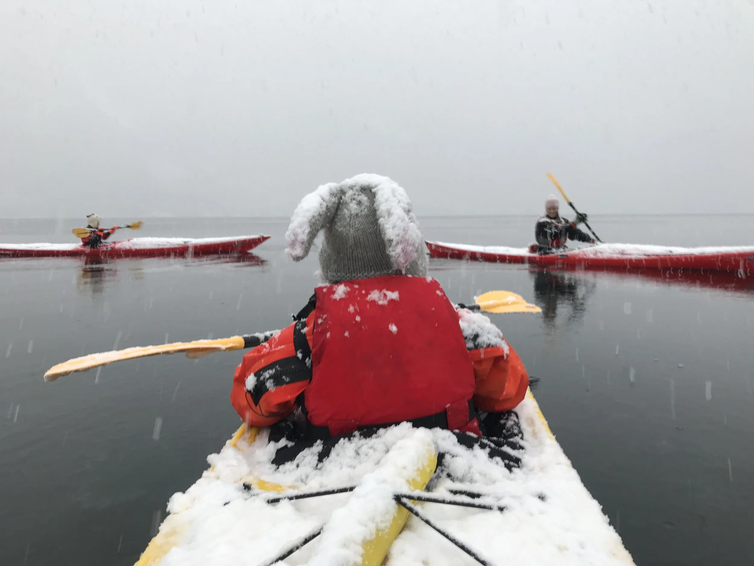 Winter kayaking — Bulder & Brak Adventures