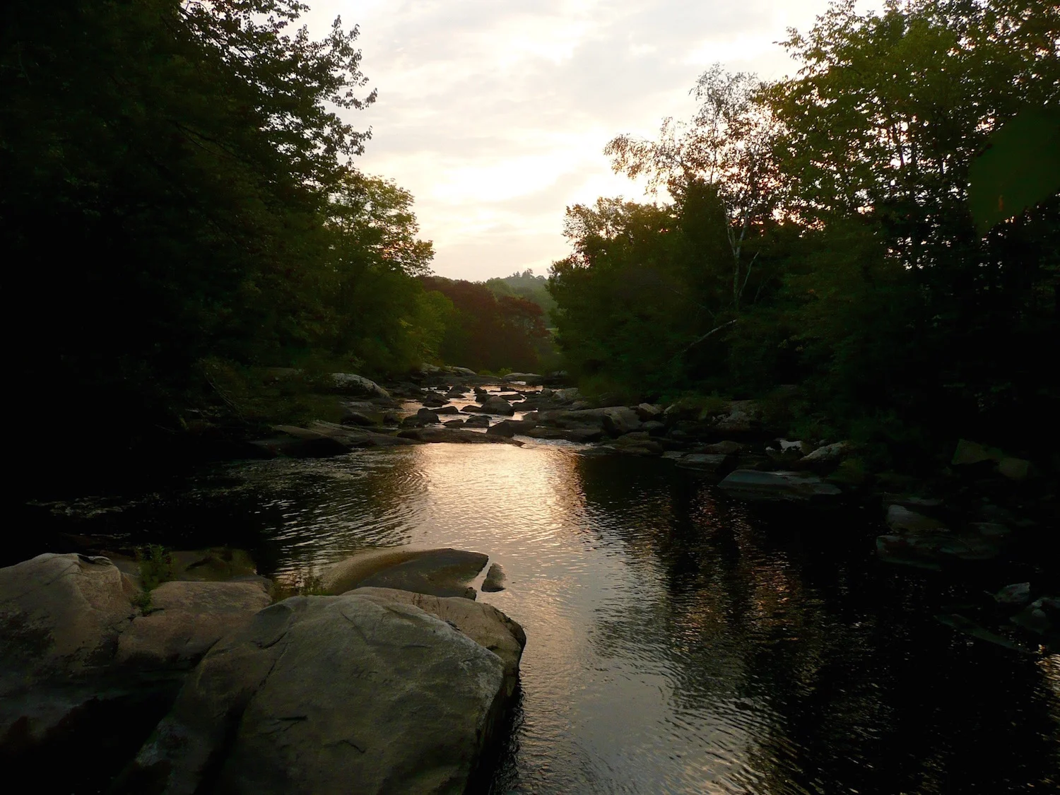 P1110013.jpg