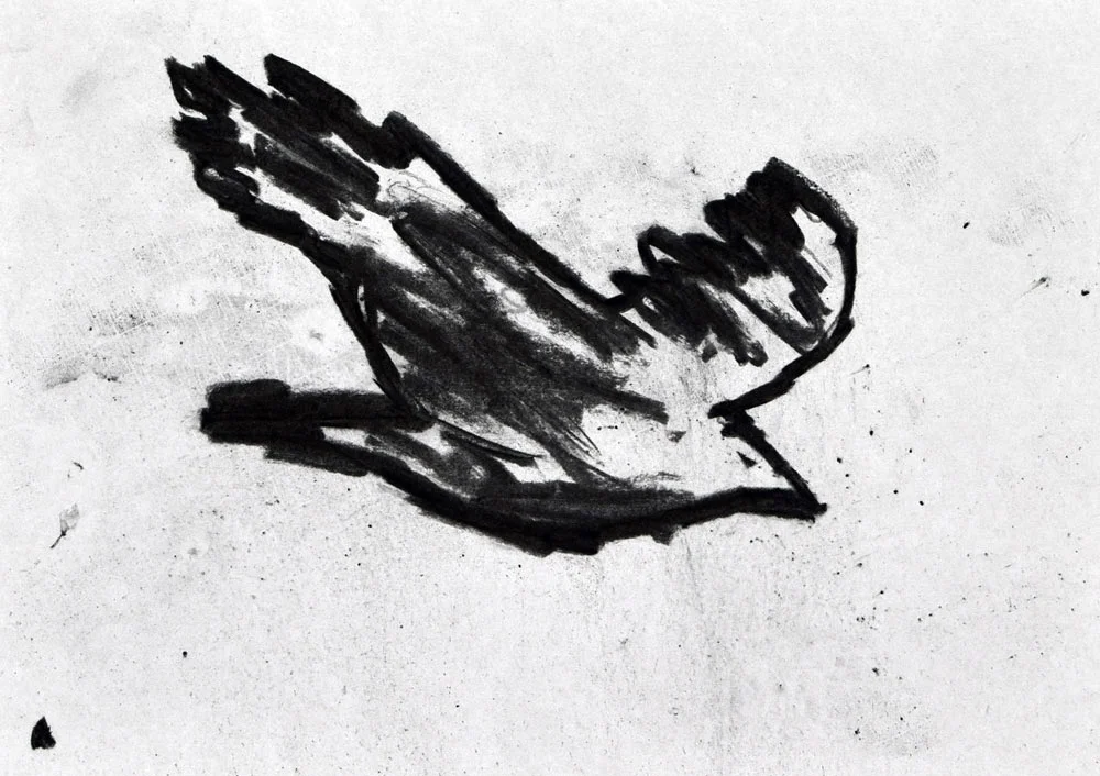 H_bird_b_no_nr1.jpg