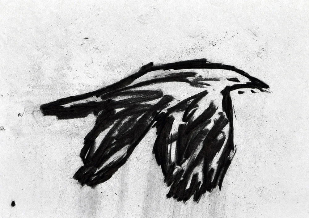 H_bird_b_no_nr2.jpg