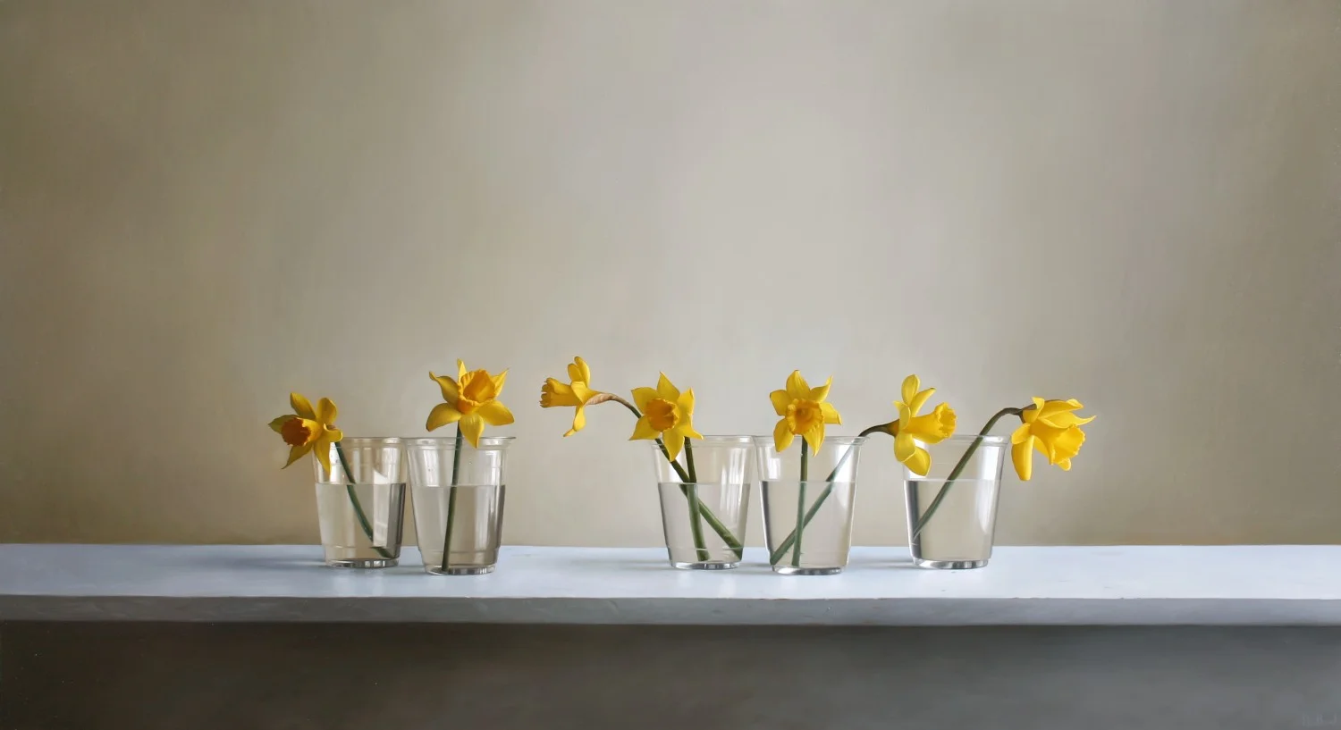 Daniel Jackson - Daffodils