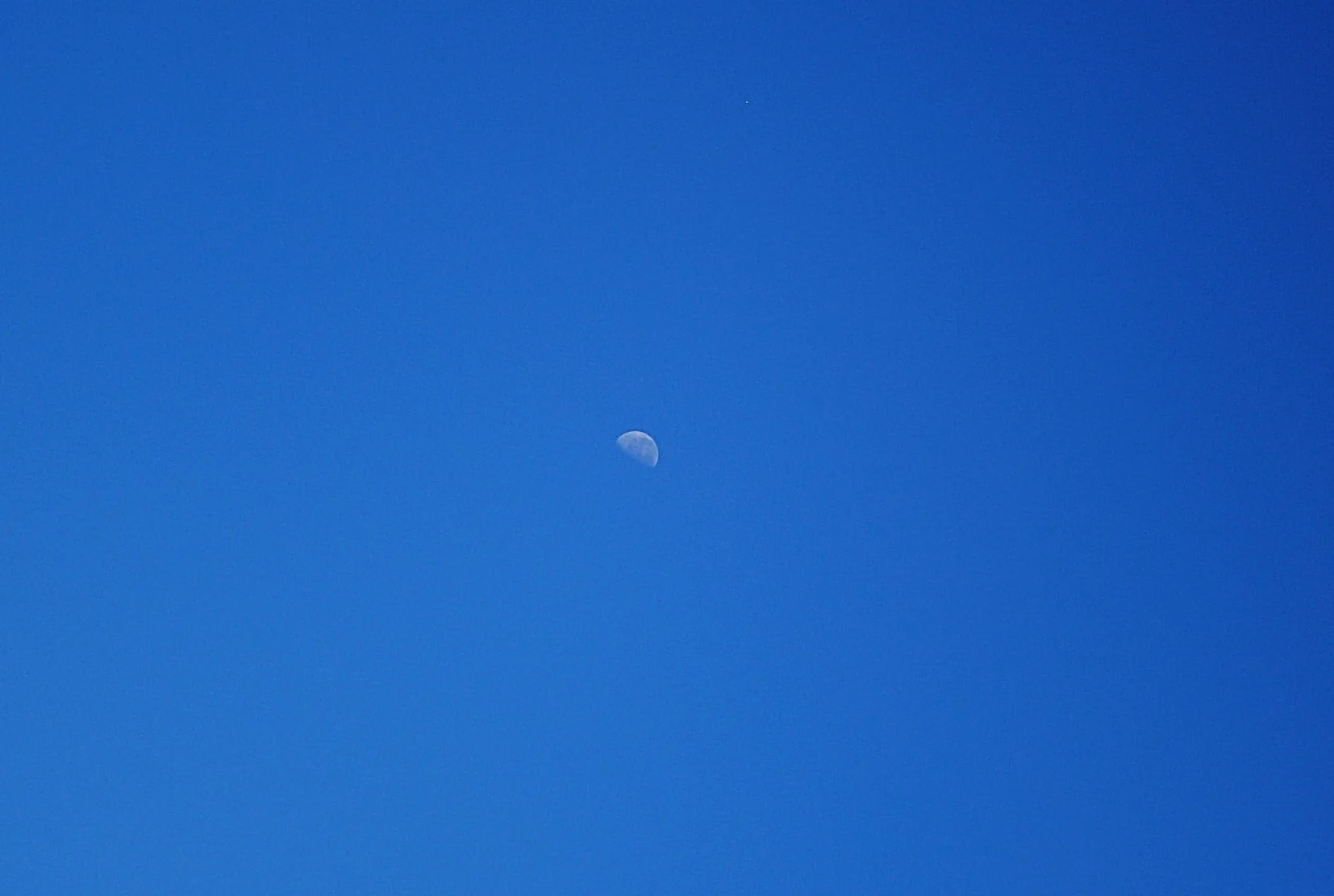 DSC_0462-3.jpg