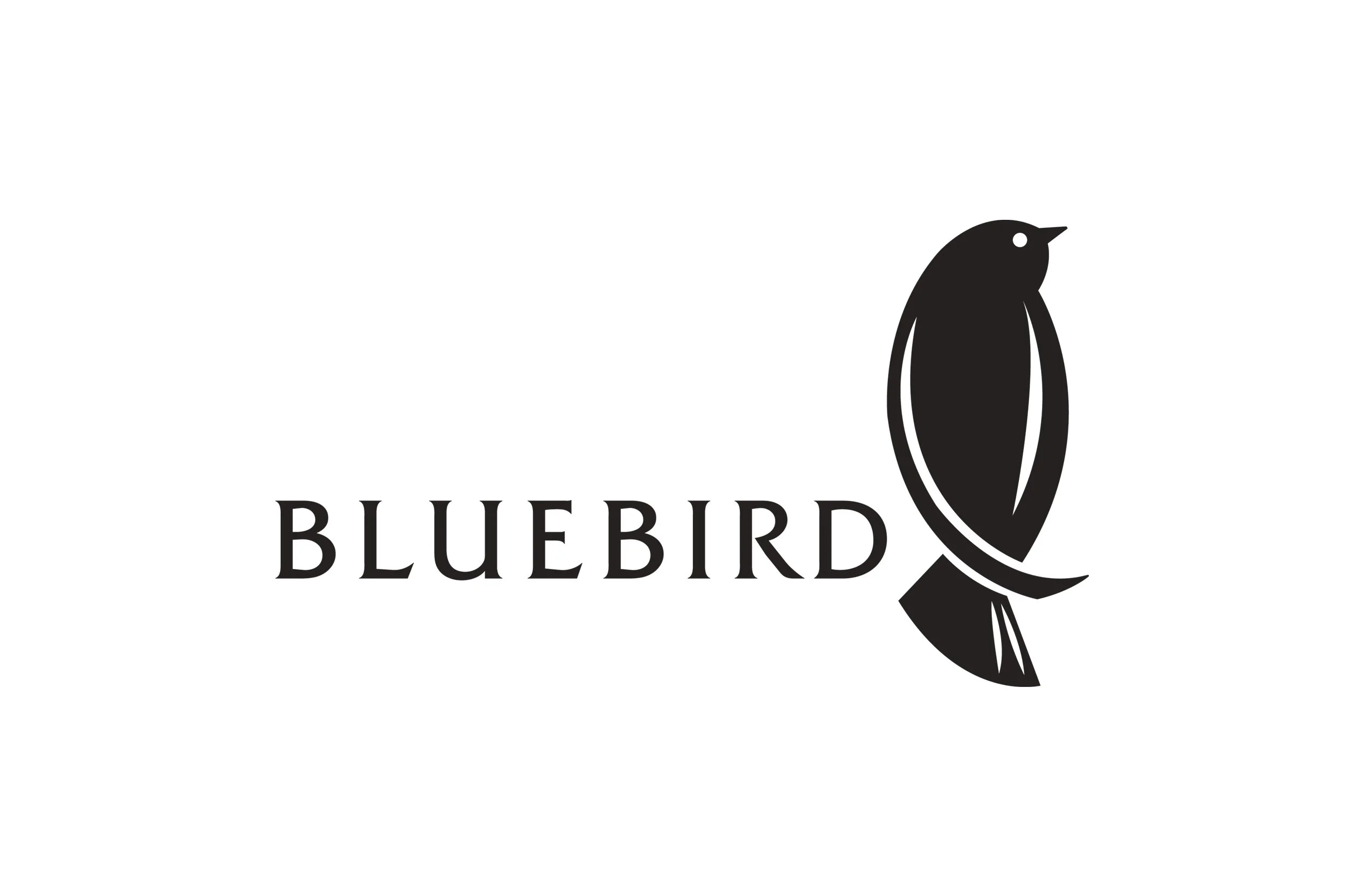 BlueBird_4.jpg