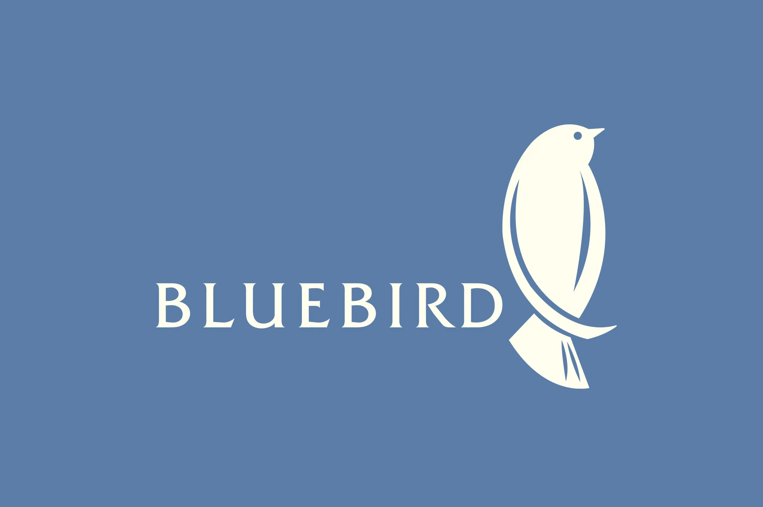 BlueBird_5.jpg