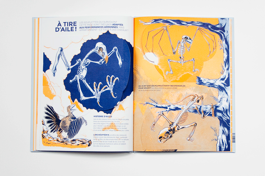 Maison_Tangible_Interview_Timbree_26_RenaudVigourt_Ygam_04Article_11.gif