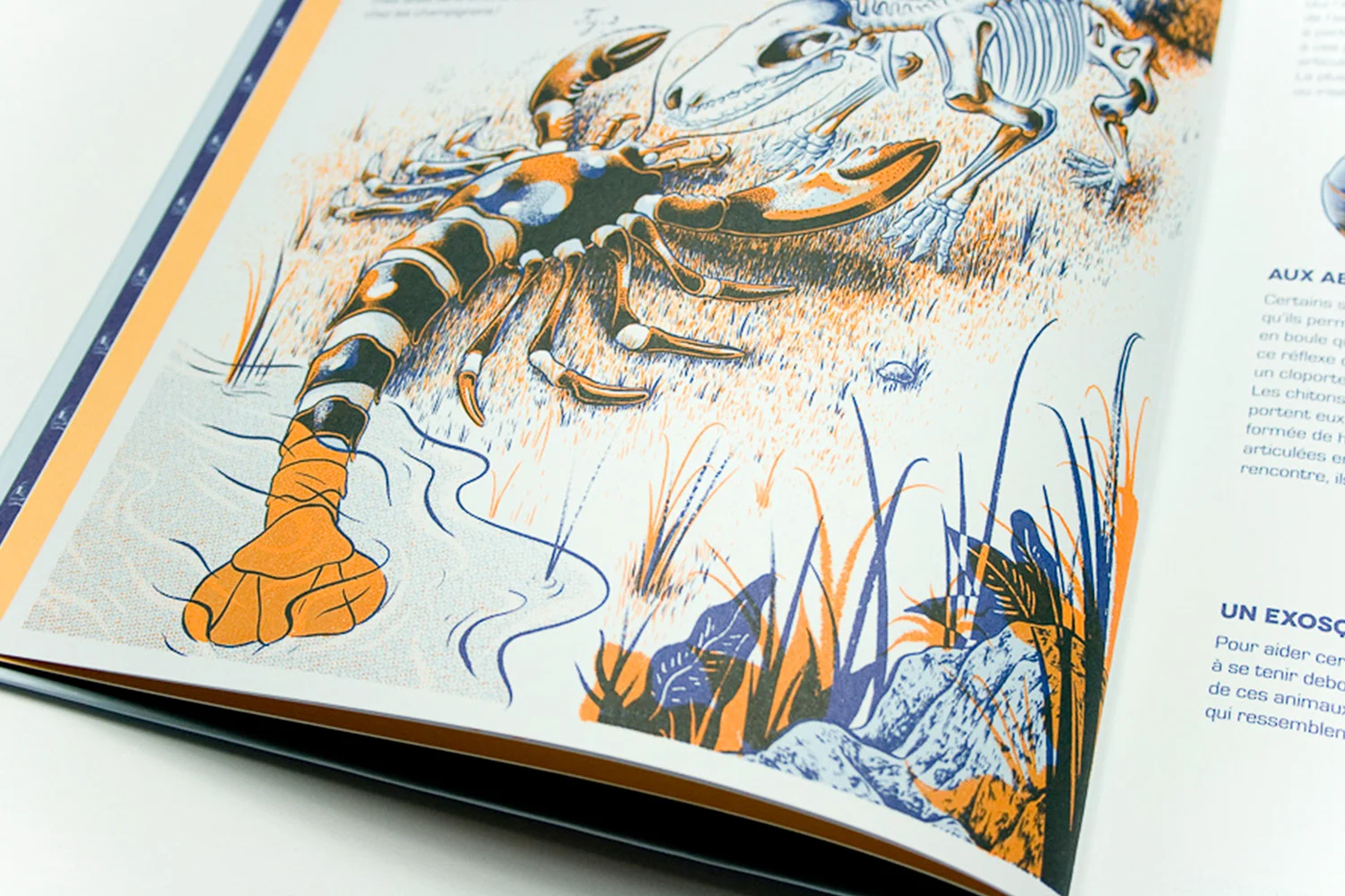 Maison_Tangible_Interview_Timbree_26_RenaudVigourt_Ygam_04Article_09.jpg