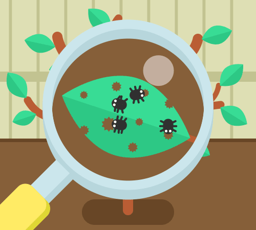 ANIM_Lowes_Pests_01_V2.gif