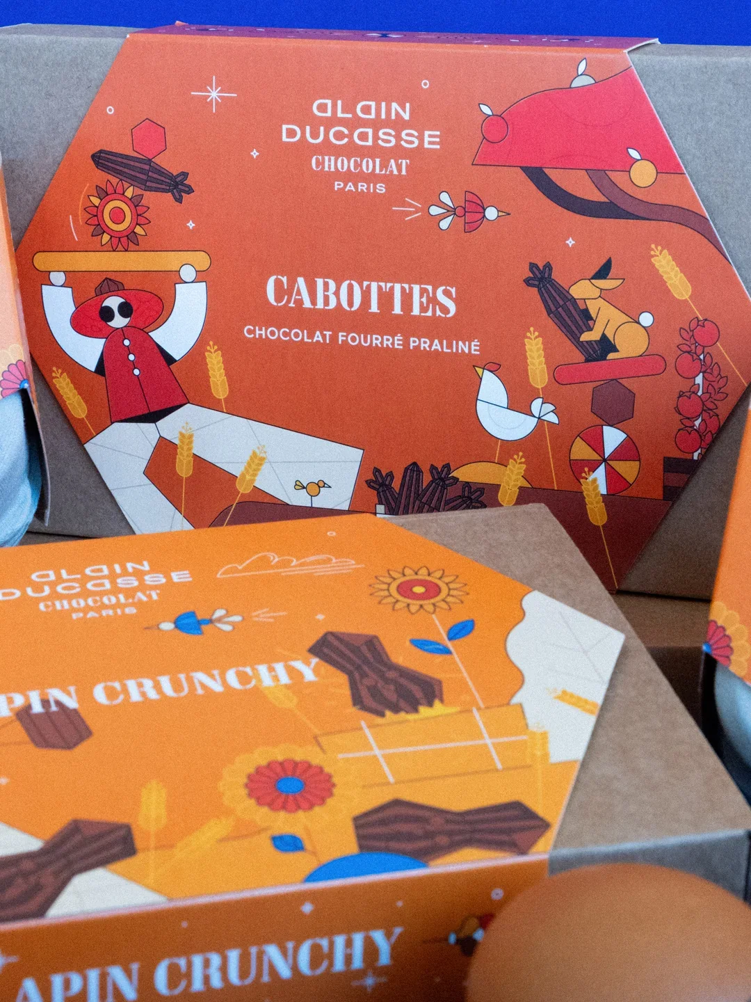 Boîtes de chocolats Alain Ducasse avec illustrations colorées de personnages et d'animaux dans un style ludique, mentionnant des variétés comme cabottes, chocolat fourré praliné, et pin crunchy.