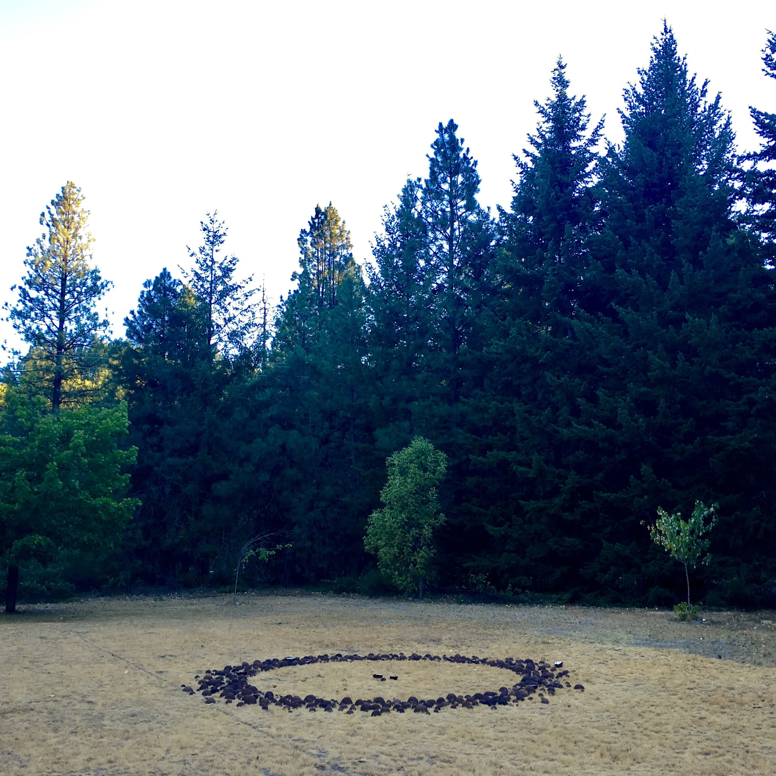 Turn, Turn installed at Grünewald Guild, Leavenworth, WA, summer 2017. 