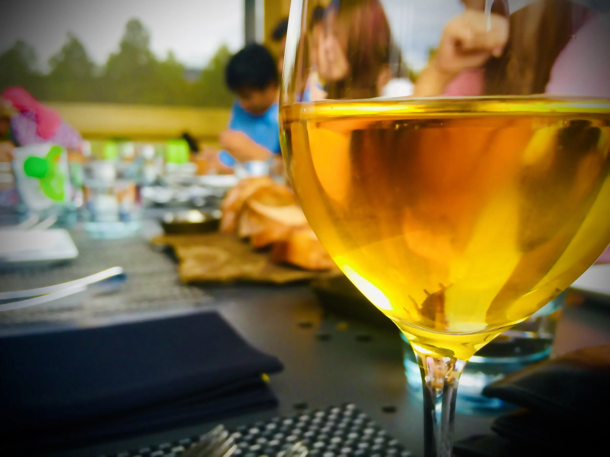 酒禪品鑑家系列： 葡萄酒感性品鑑 - 中文