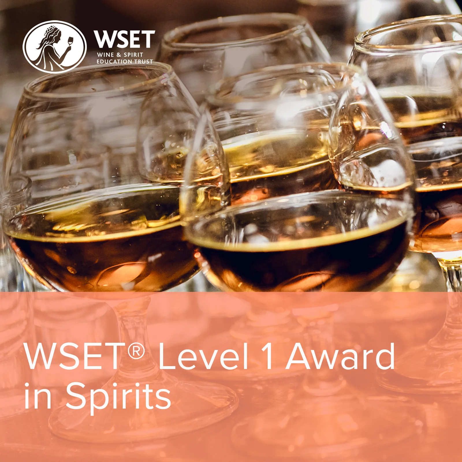 WSET 烈酒第一級認證 - 中文