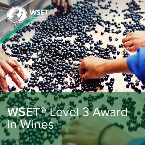 WSET 葡萄酒第三級認證 - 中文