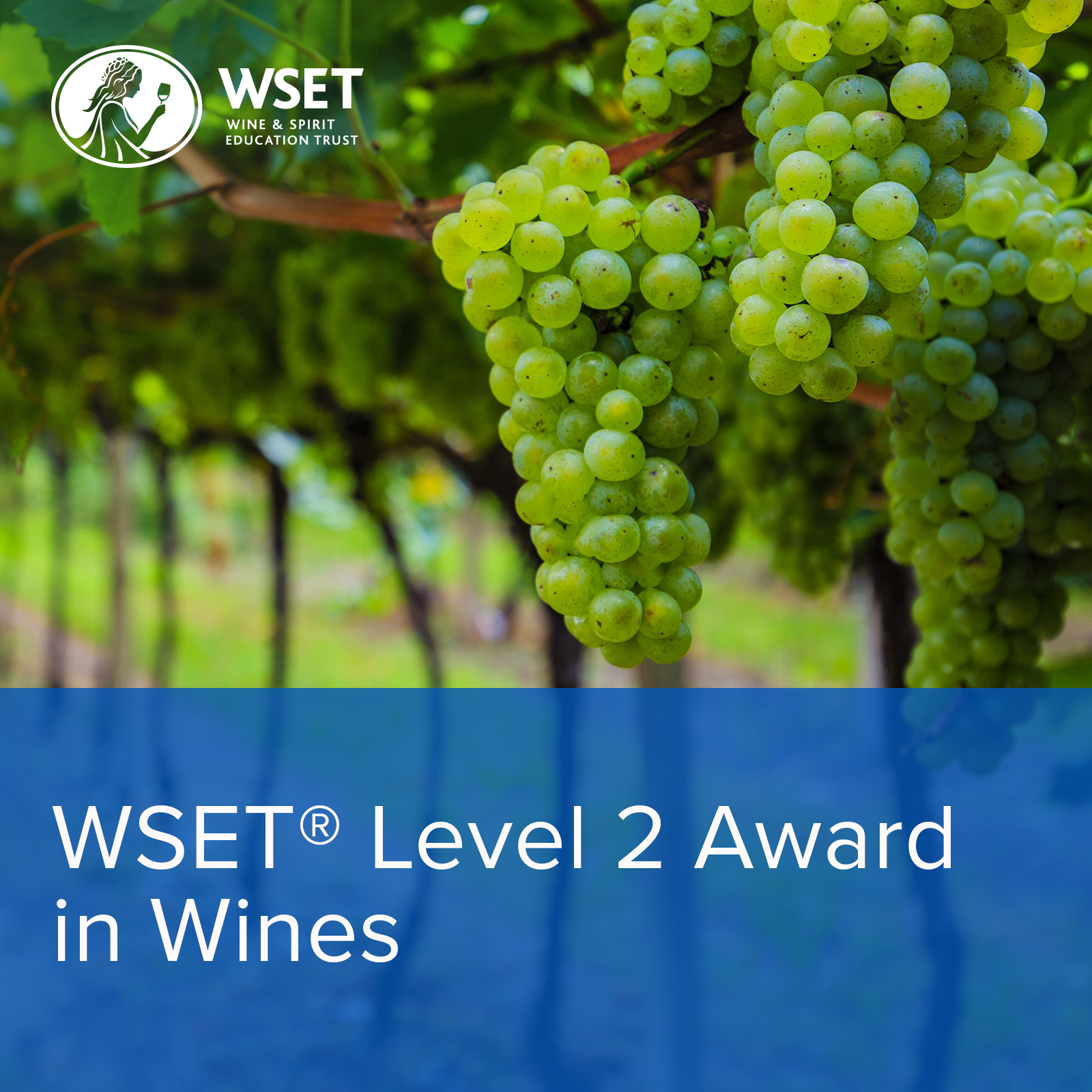 WSET 第二級葡萄酒認證