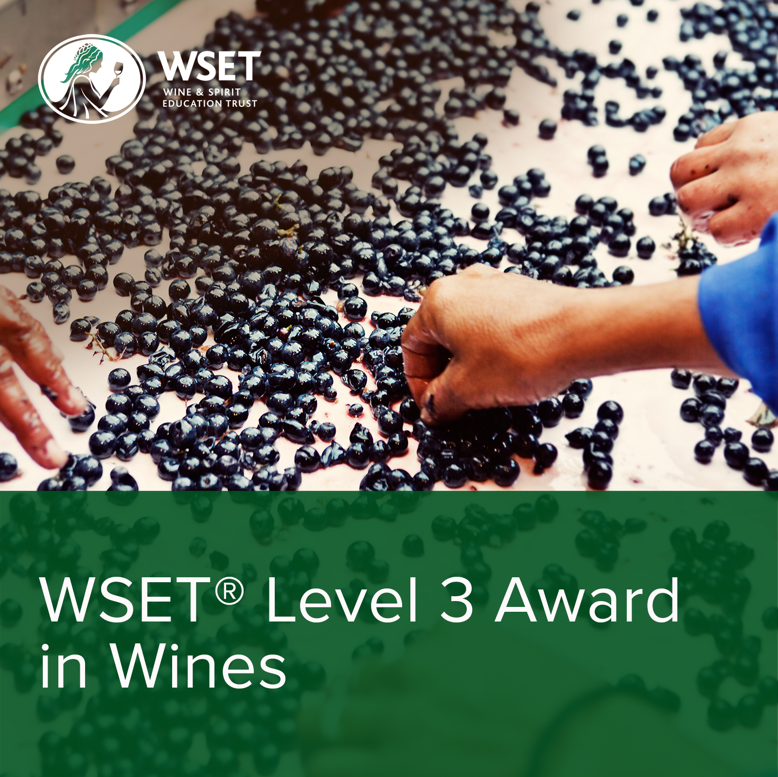 WSET 第三級葡萄酒認證
