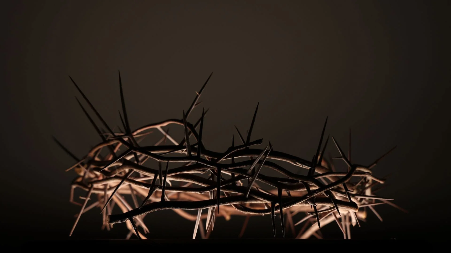 good friday crown of thorns (1).jpg.jpeg