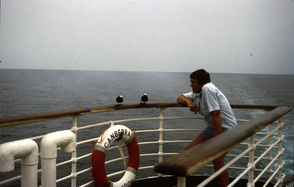 24 with Black noddies.JPG