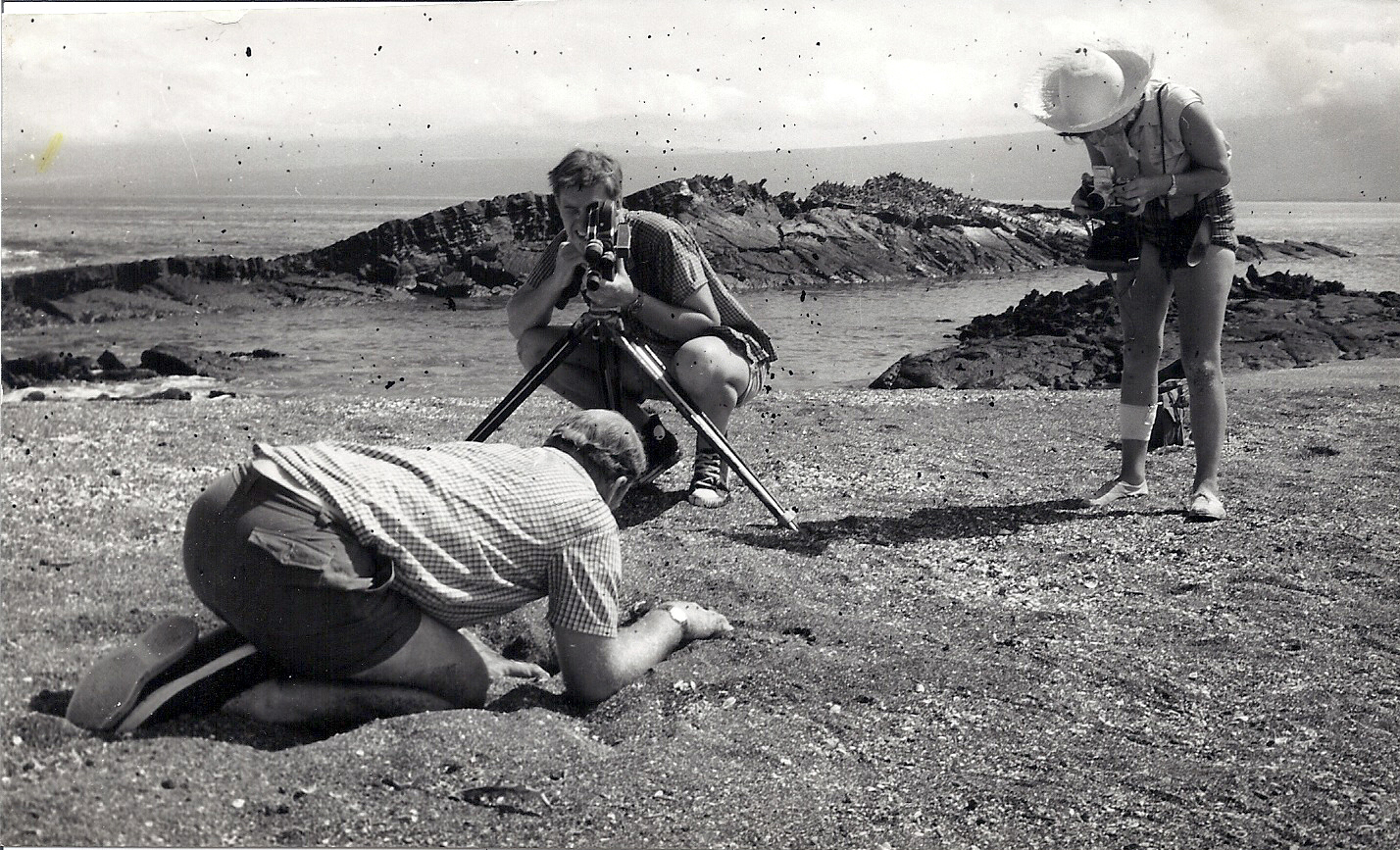 Digging for iguana eggs...