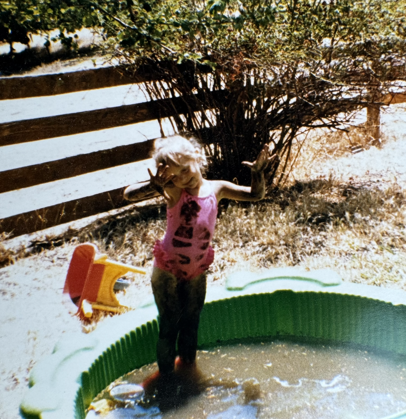 Delighting in the Dust