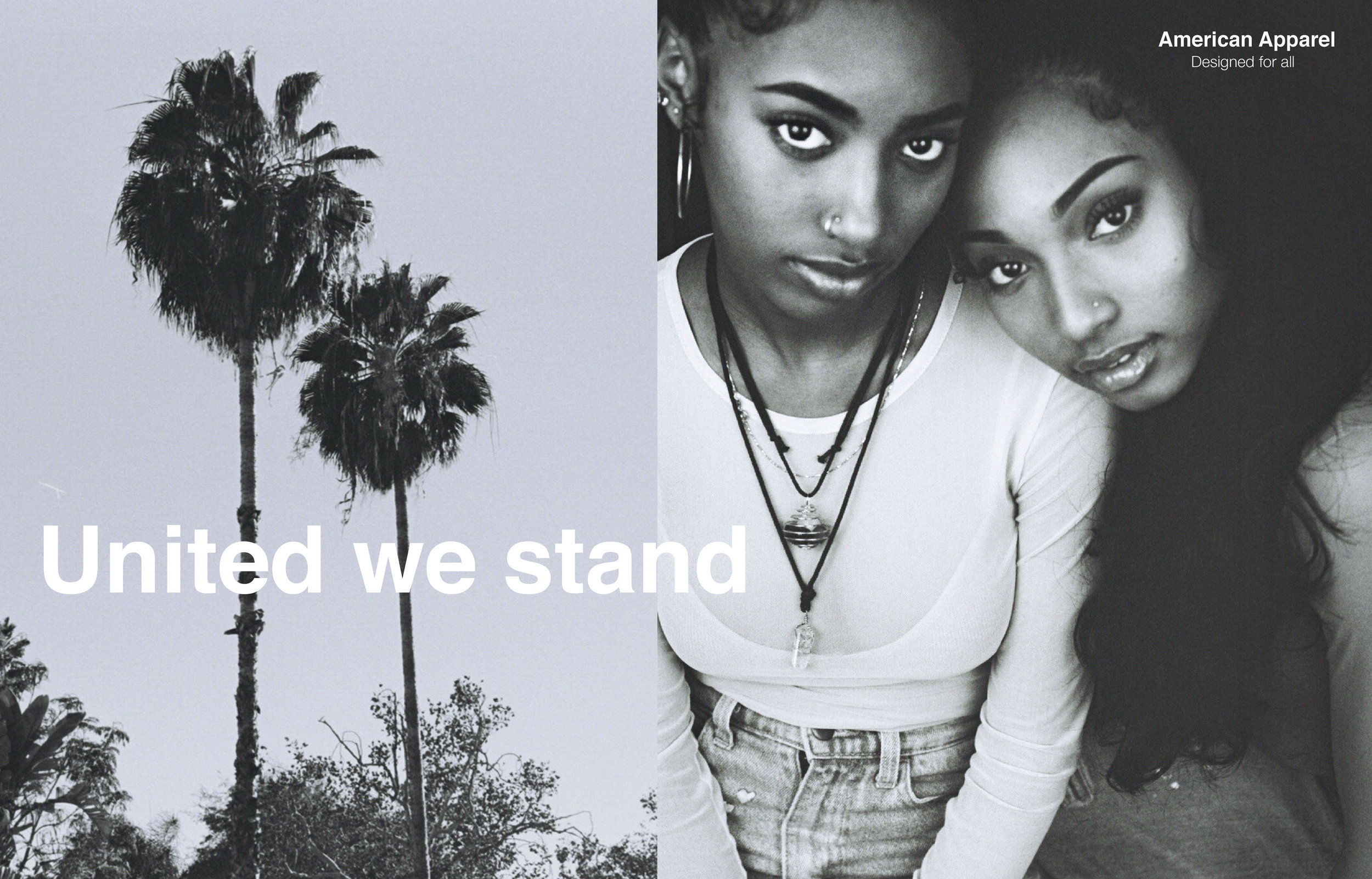 AA UNITED WE STAND .jpg