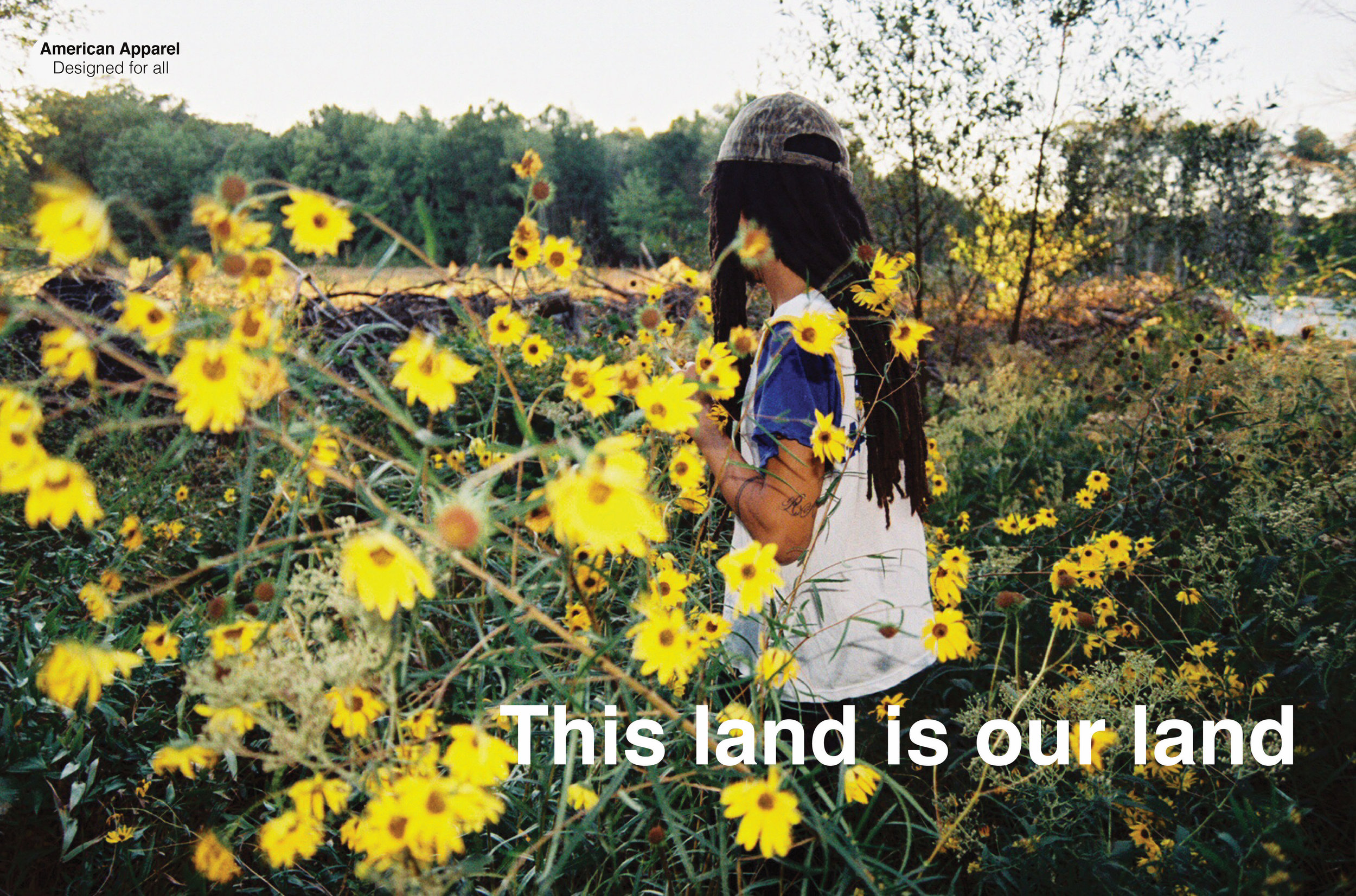 AA THIS LAND .jpg