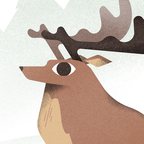 Deer.png