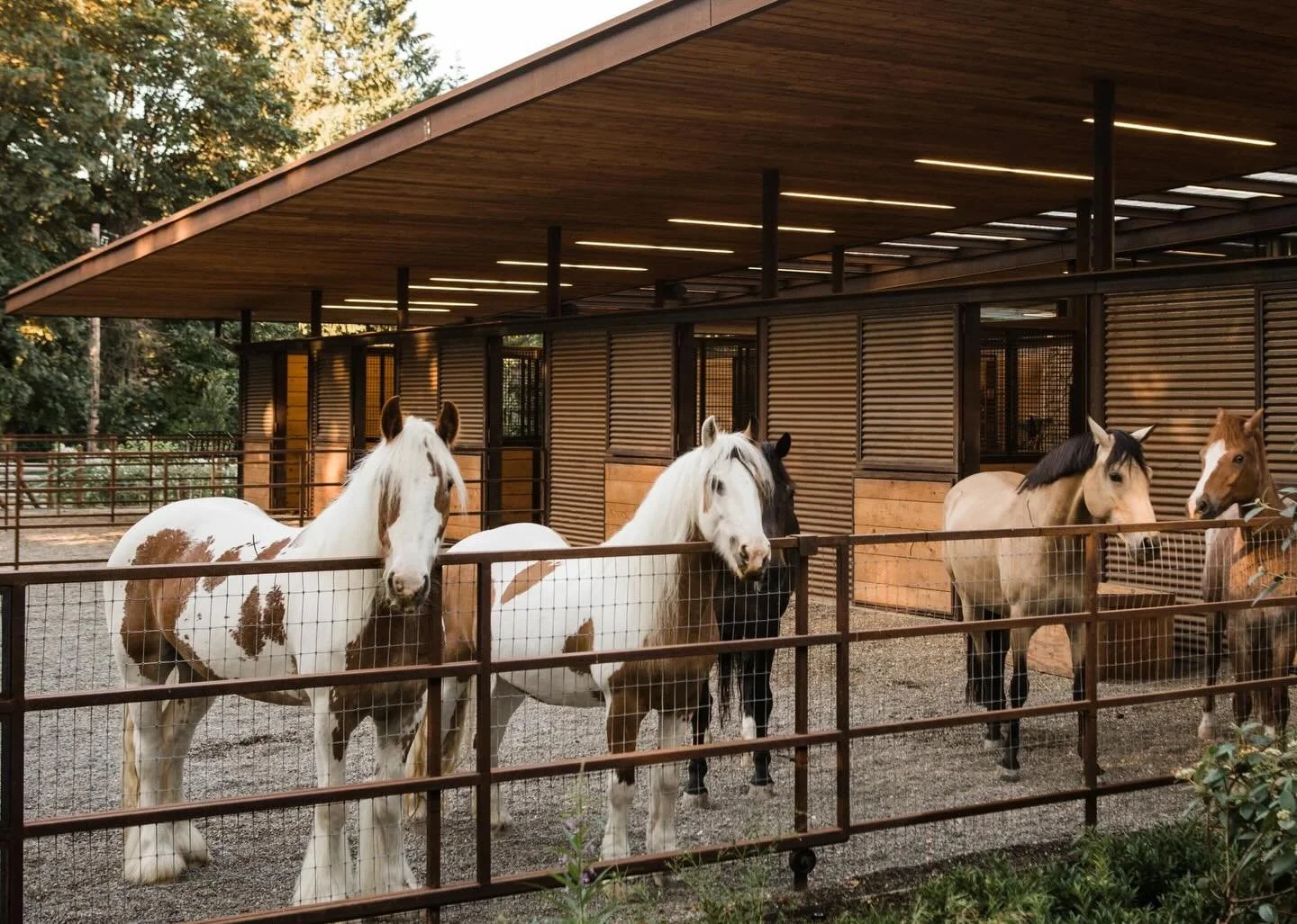 At our #MCT_IslandEquestrian estate, five curious faces gather at the paddock - a reminder that while we craft the architecture, the true stars of any equestrian estate are the horses who call the design home. That said, we can&rsquo;t help but appre