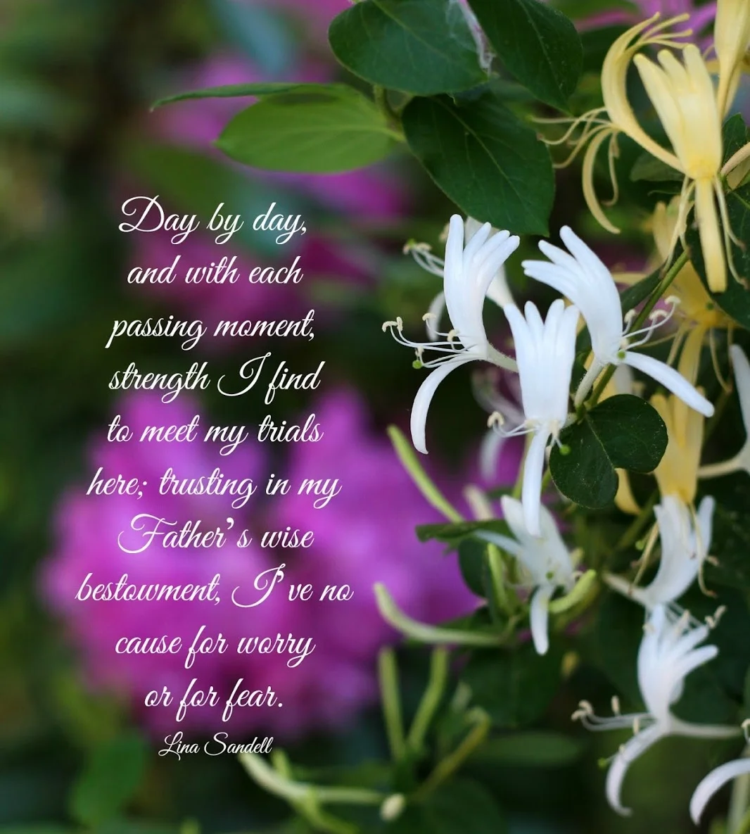 day+by+day.jpg