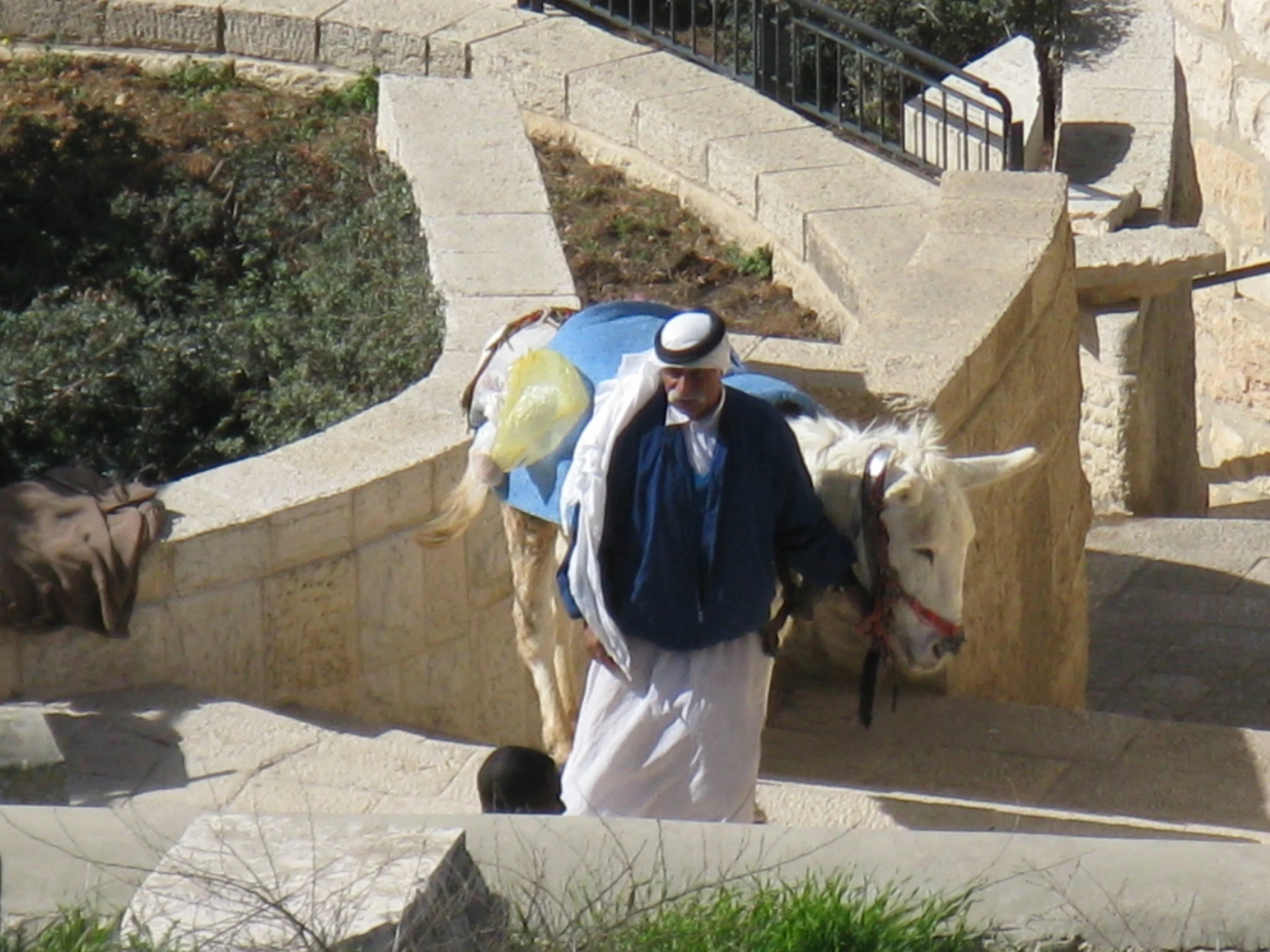 Israel 2011 912.jpg