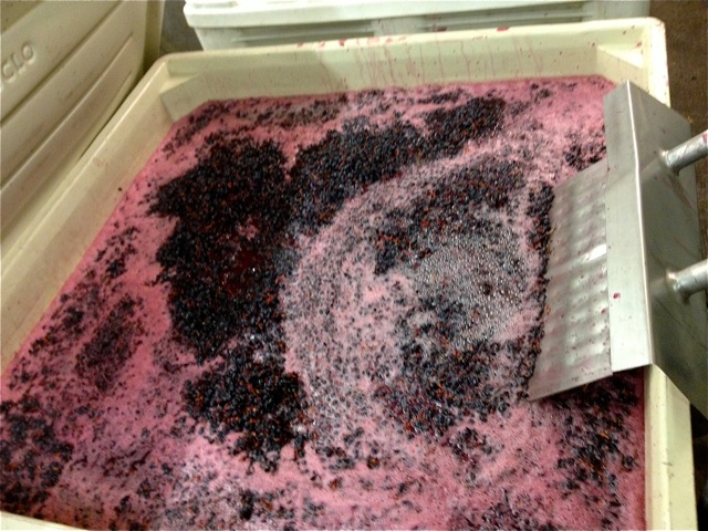 Adding heat to get fermentation going.
