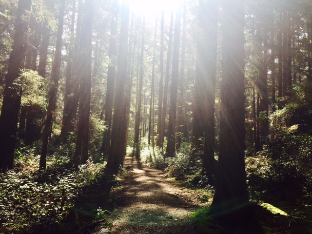 Humboldt County