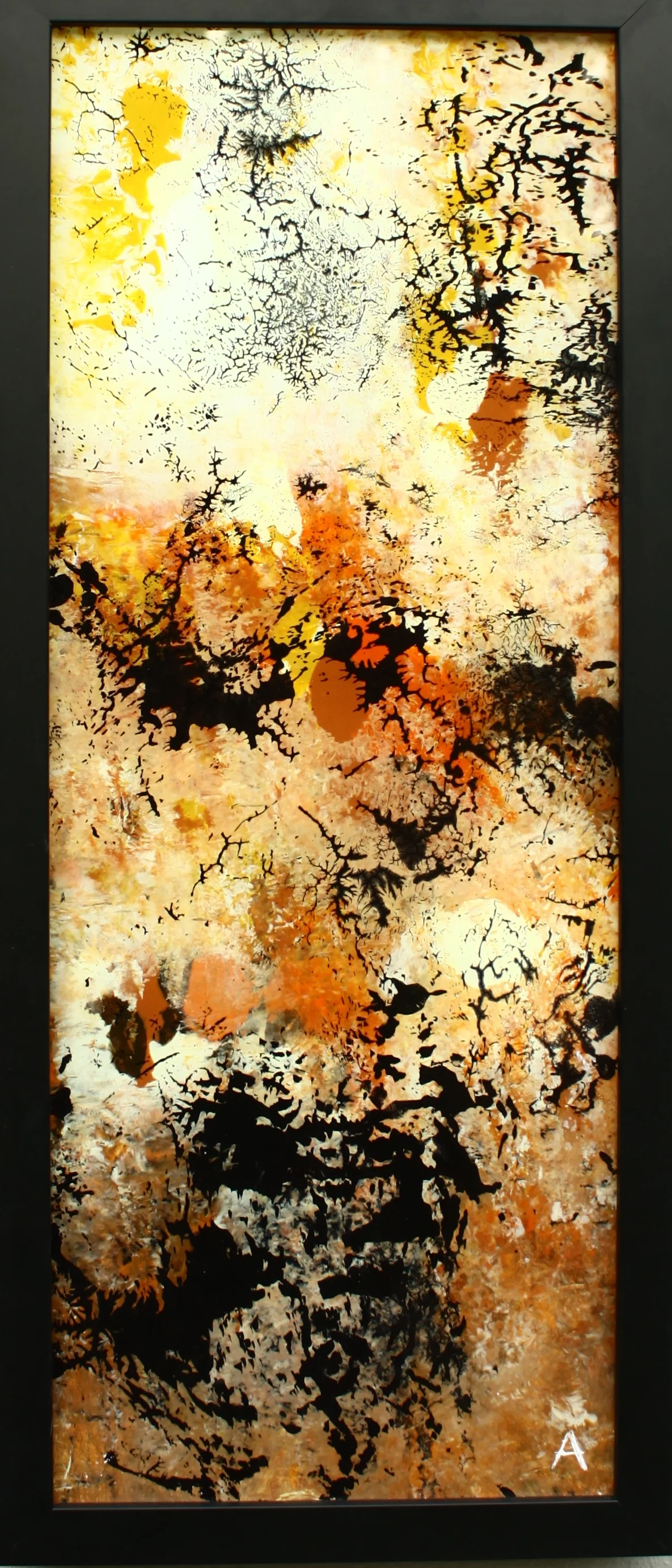 Pilgrims Series - Tabgha I