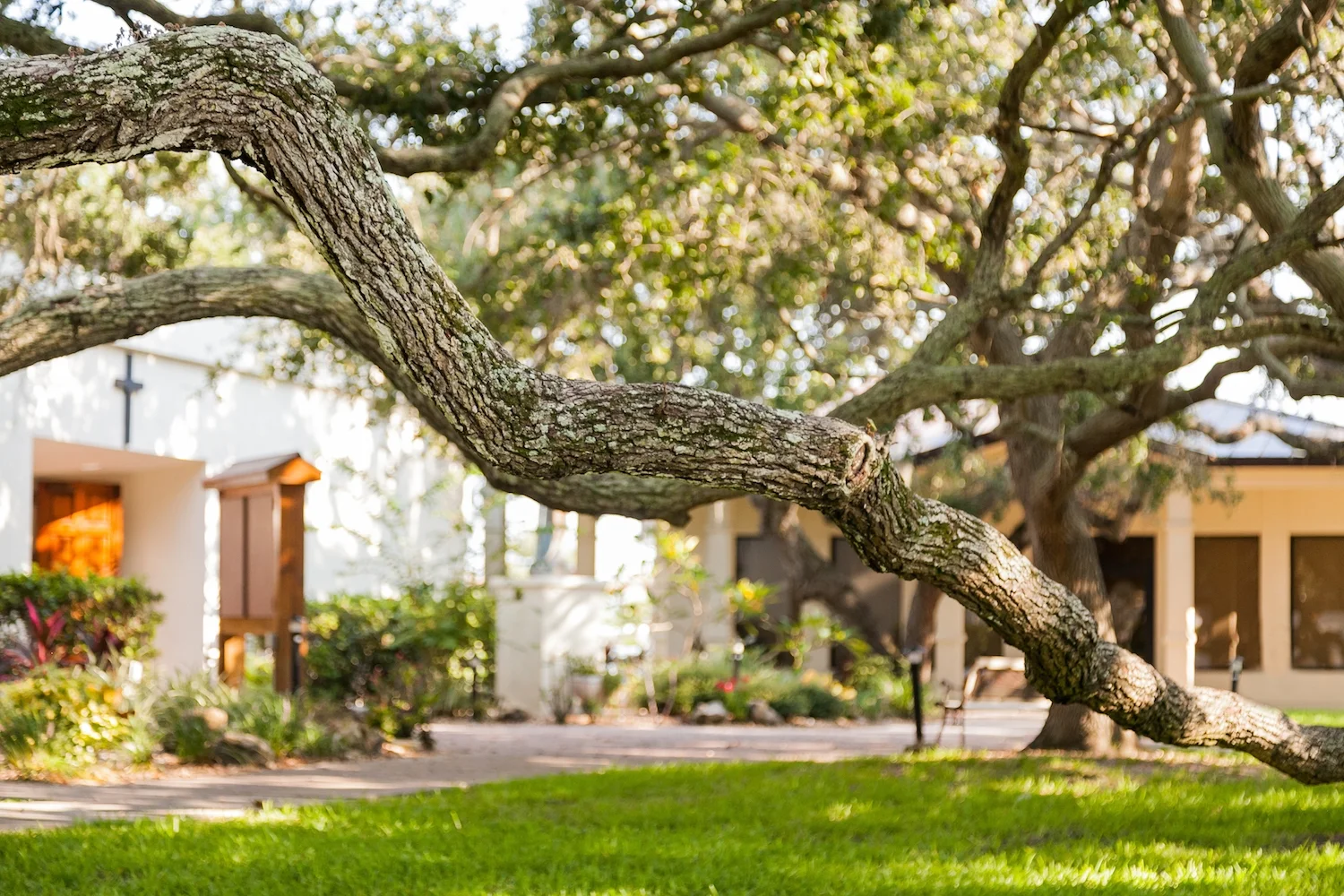 OSC Money Shot small.jpeg