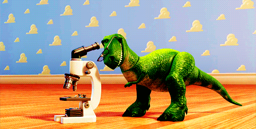 9c91f0dd7874ce0b1ab8aa5c83815881.gif