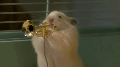 tumblr_nxgnn7qzee1tvk1j2o1_500.gif