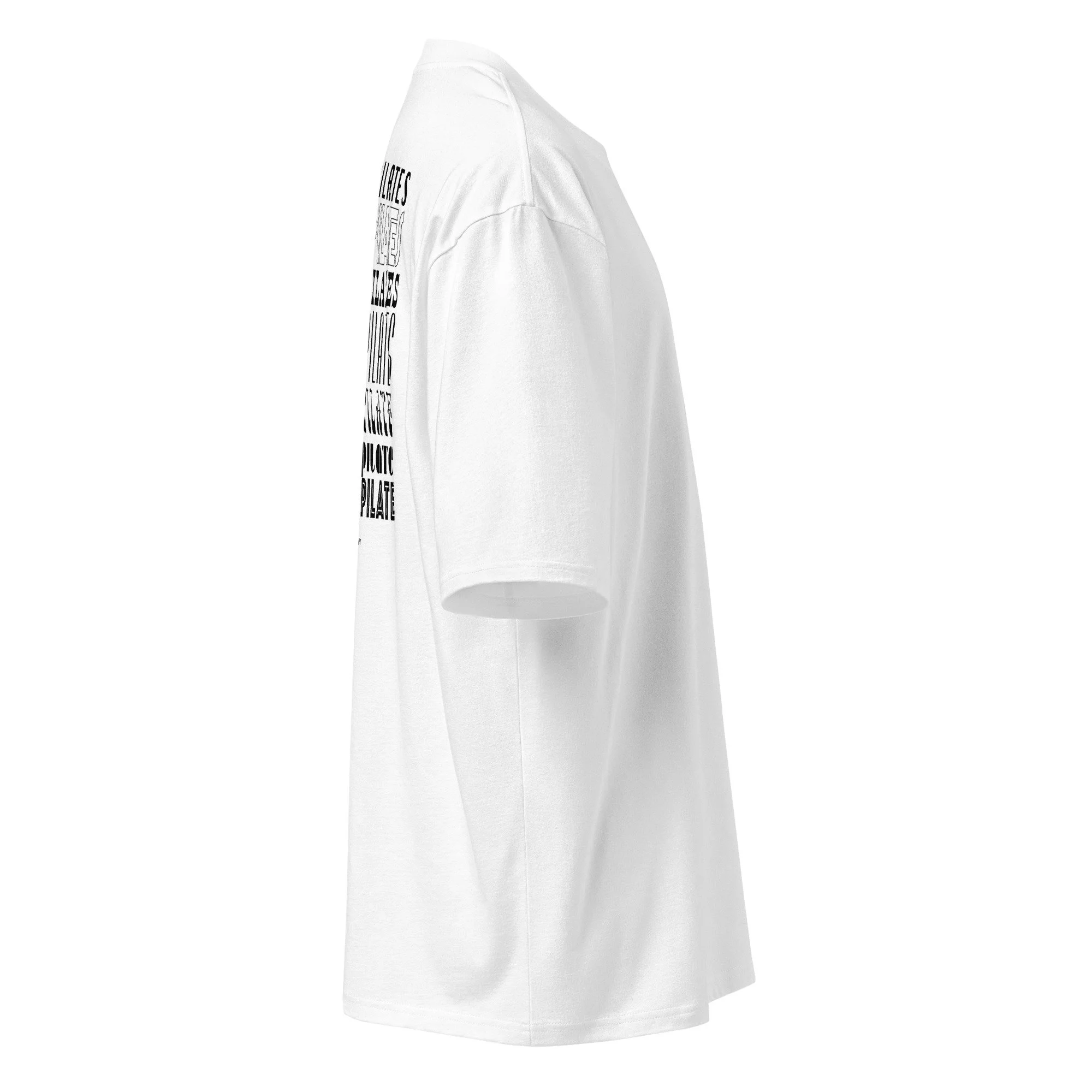 oversized-heavyweight-t-shirt-white-right-67811528ca78f.jpg