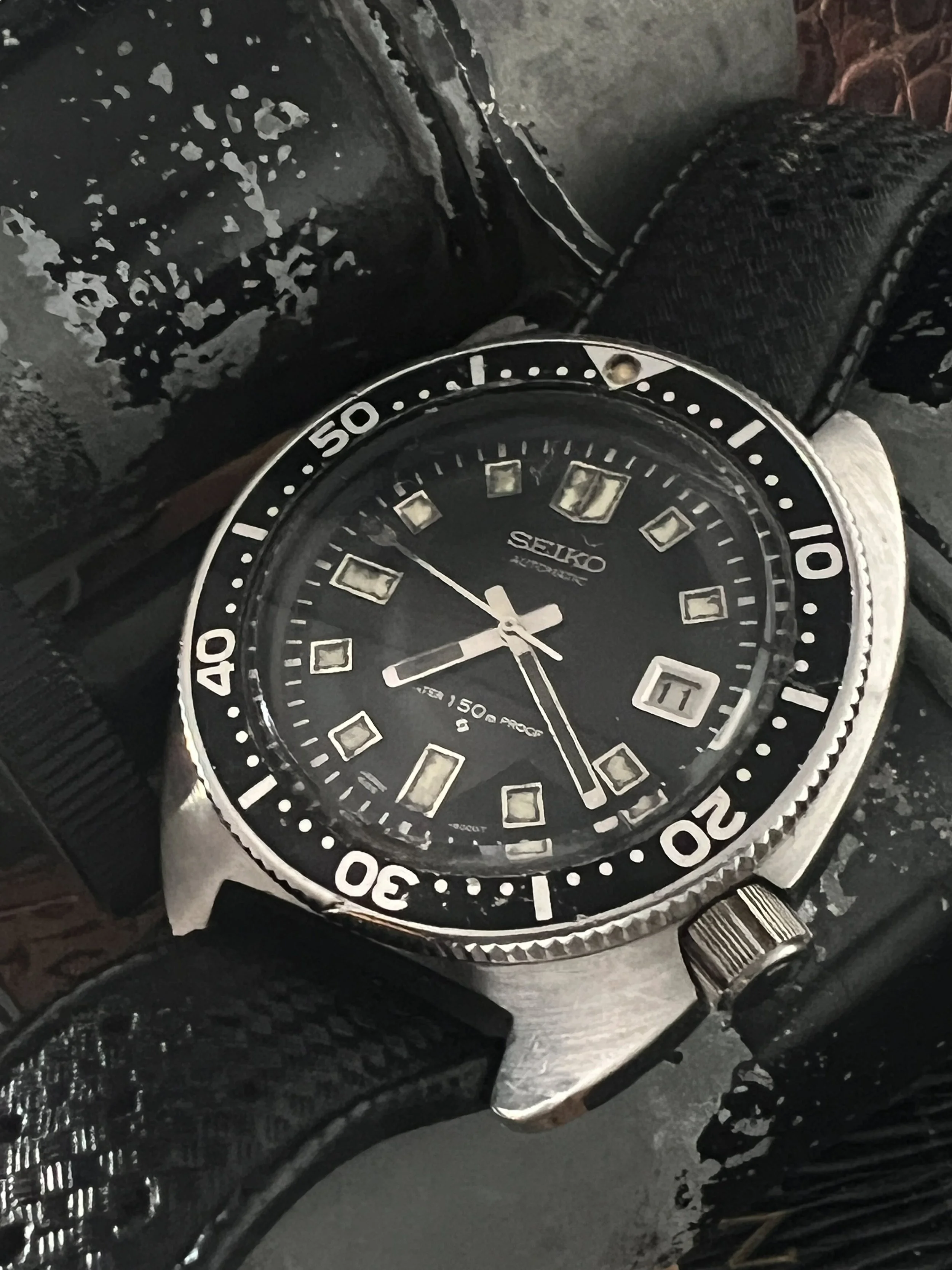 IMG_0208(2).jpg?format=1000w